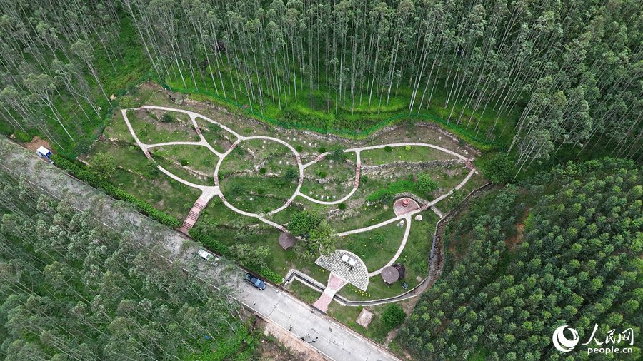 湖珠村生命公园选址于低效果林地，依山就势进行改造，突出“节地、生态、公益”。人民网 李昌乾摄